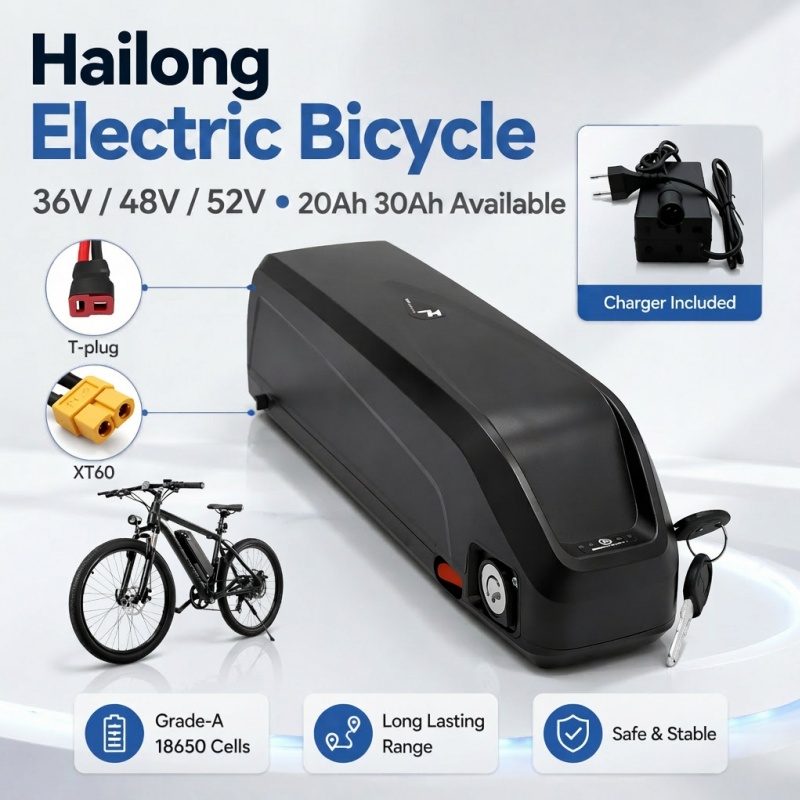 Multi-Size Ebike Battery Hailo - огляд і ціна Ebike Battery 48V 20Ah Hailong
